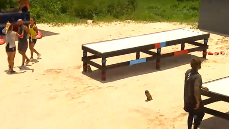 Survivor’da ödül oyununu ve haftalık görevi kim kazandı?