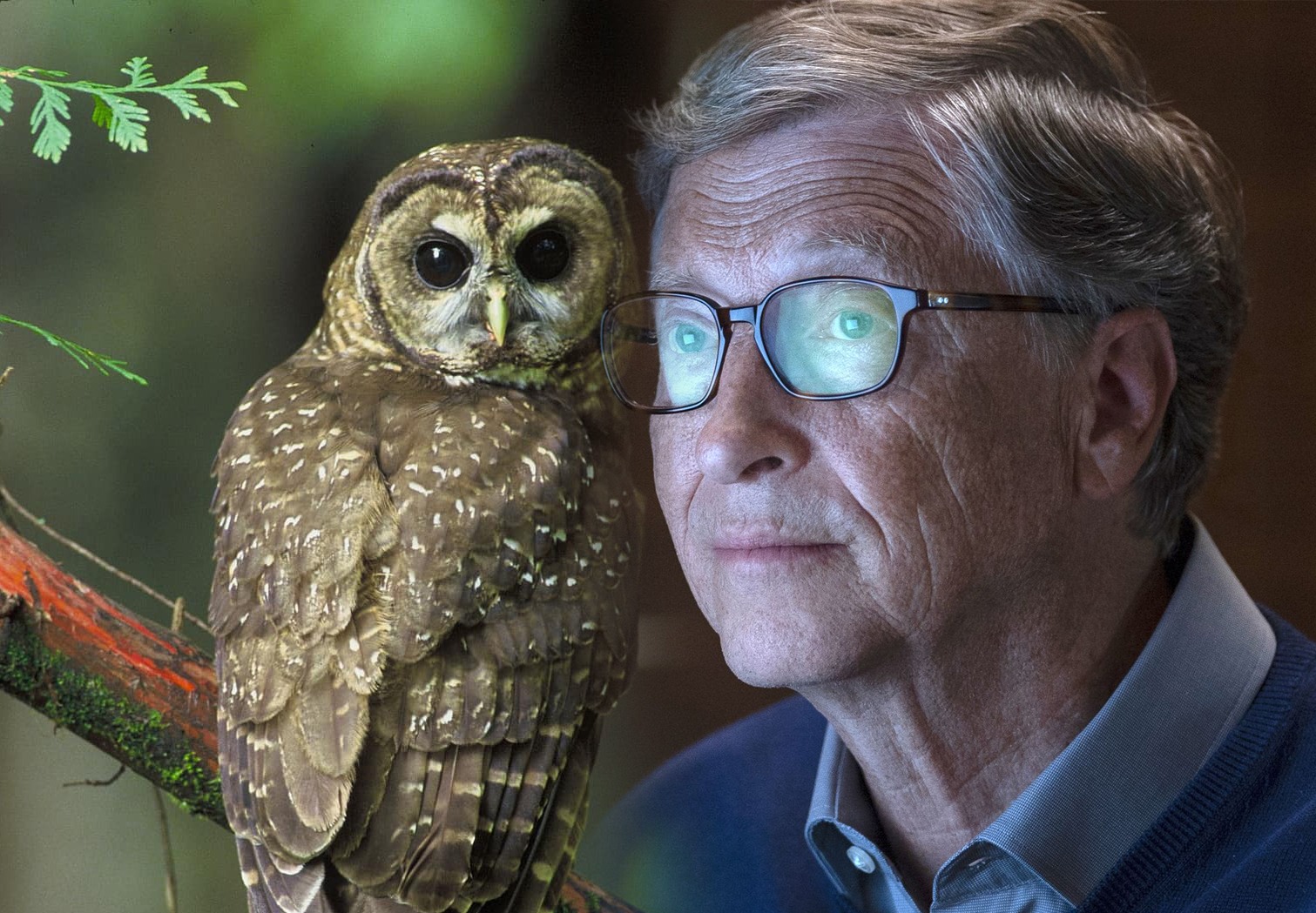 Korona virüs sekreteri Bill Gates: ”Joe Biden seçilirse Milyonlarca insan ölecek”