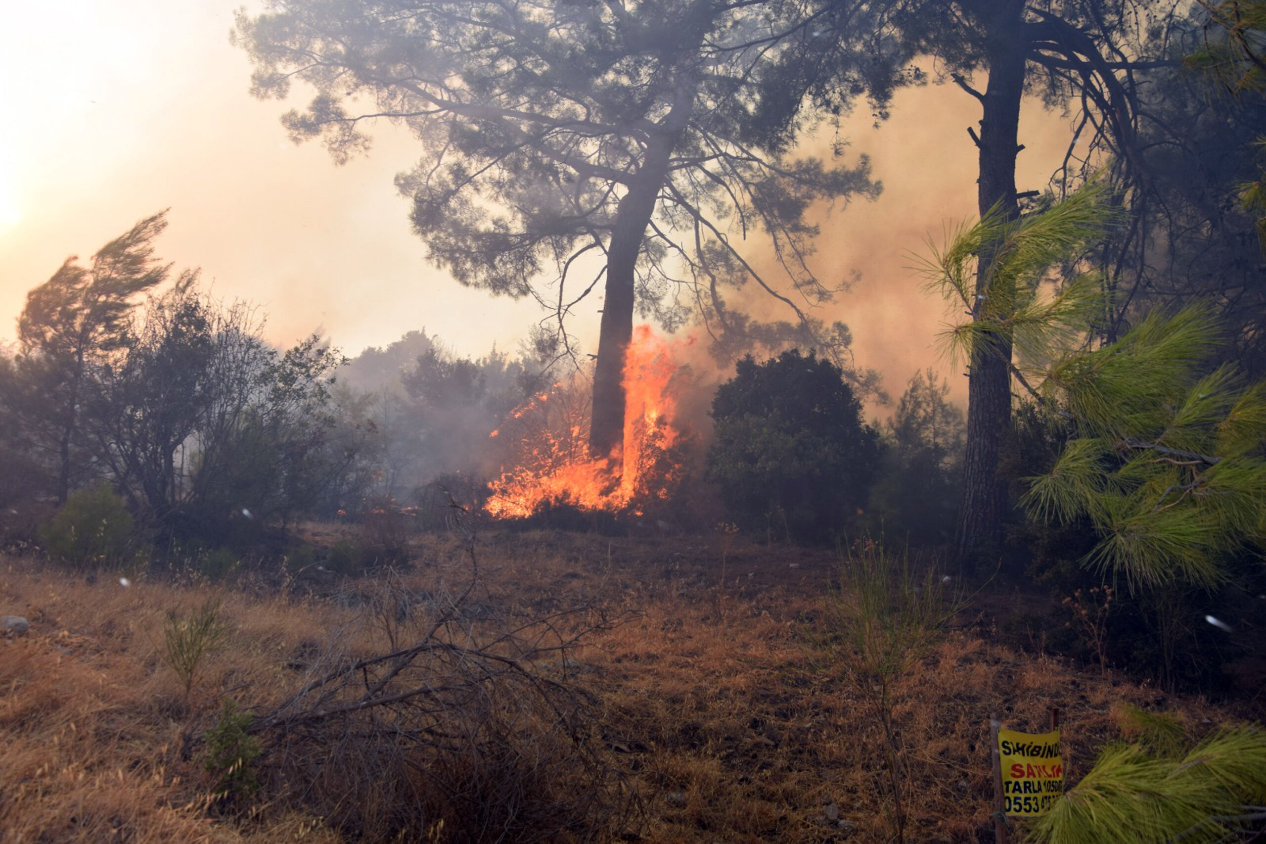 Antalya Adrasan yangını kontrol altında