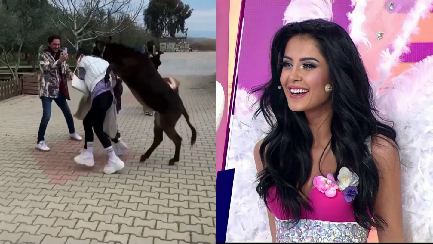 Ekran fenomeni mankeni eşek kovaladı!