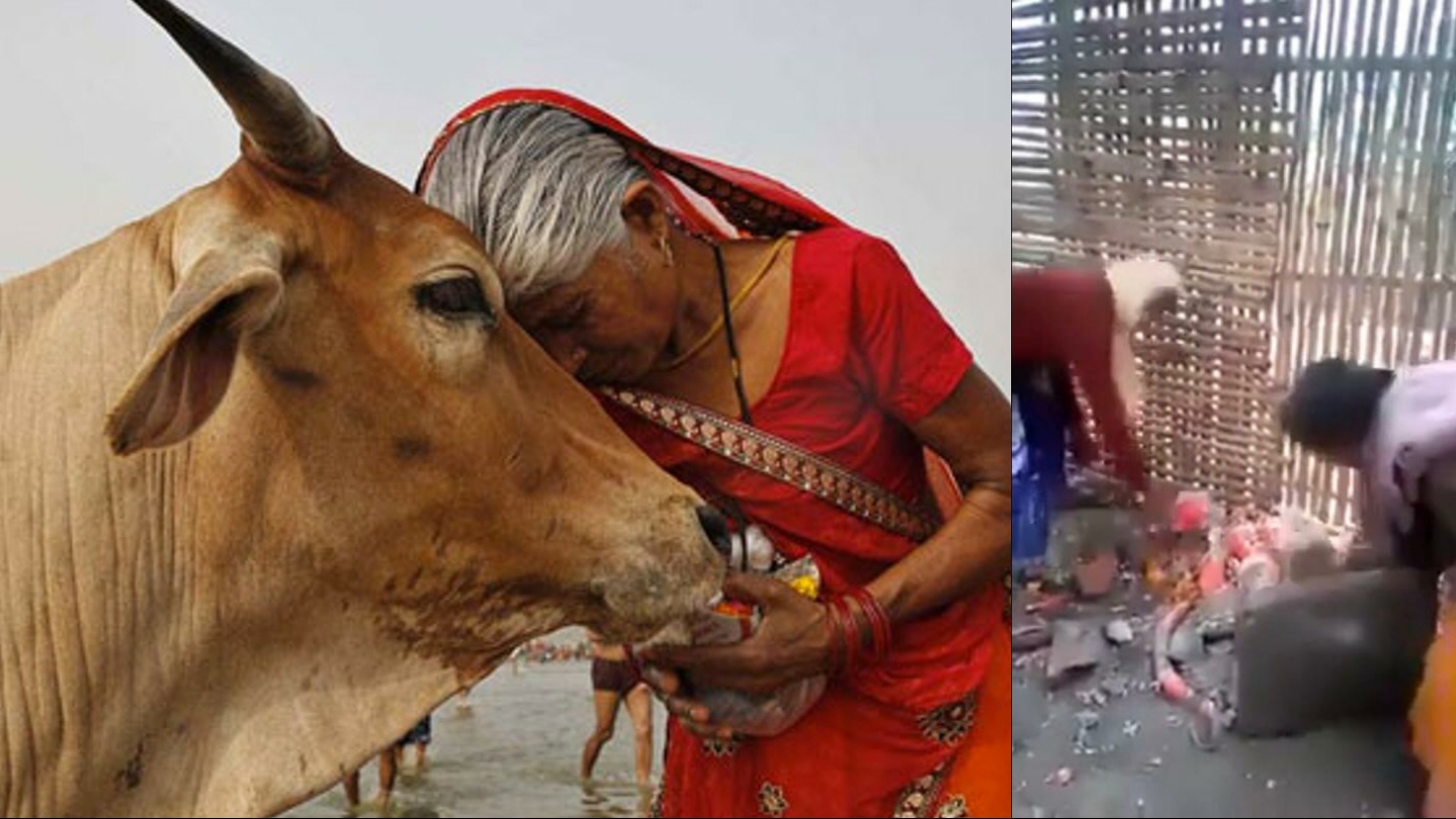 Pandemiyi şiddetli yaşayan Hindu kadınlar dinden çıkıp inek kesti!