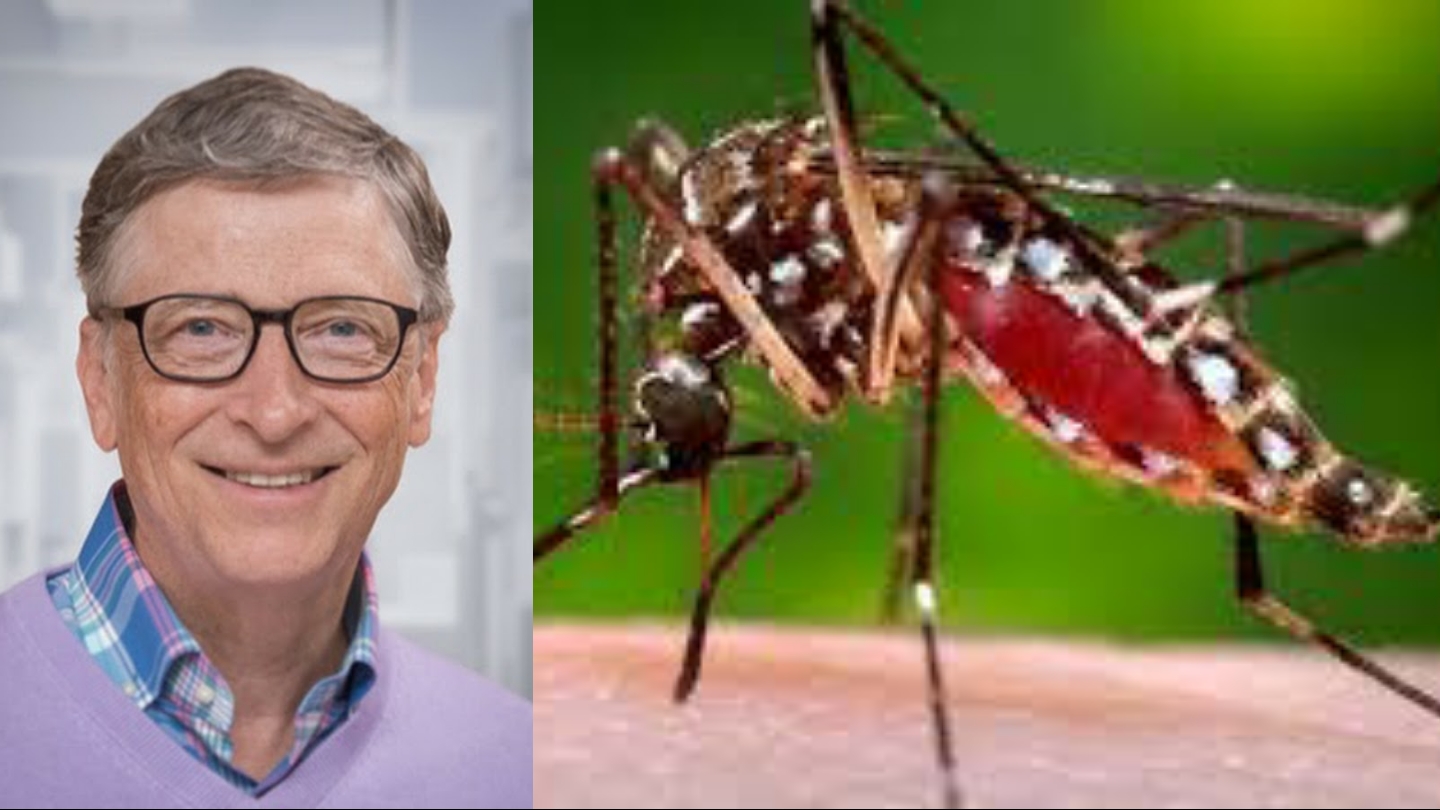 Bill Gates GDO’lu sivrisinekleri doğaya mı saldı?